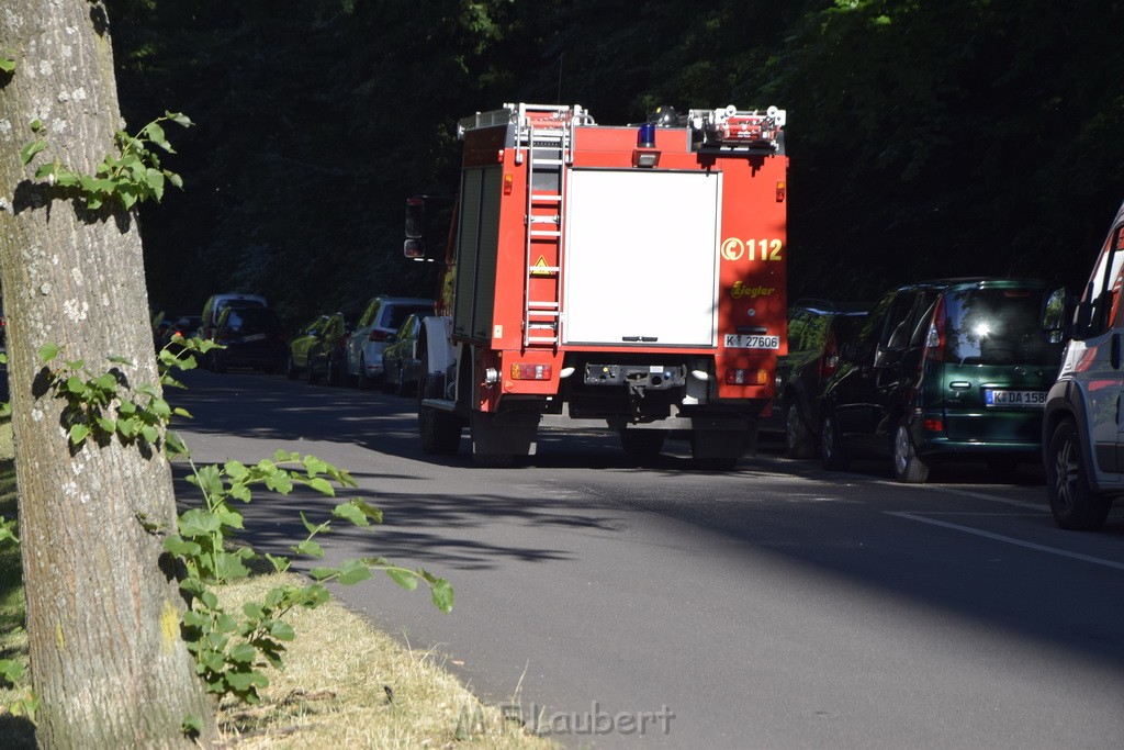 PRhein Koeln Rodenkirchen Uferstr P015.JPG - Miklos Laubert